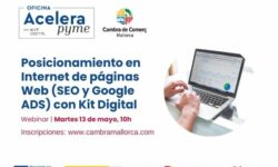 Posicionamiento en Internet de páginas Web (SEO y Google ADS) con Kit Digital